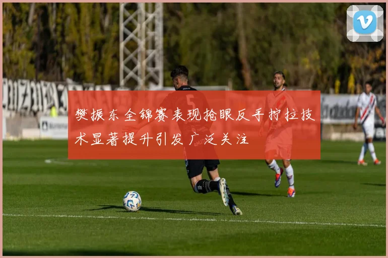樊振东全锦赛表现抢眼反手拧拉技术显著提升引发广泛关注