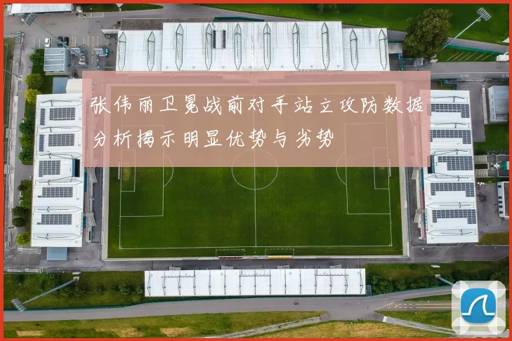 张伟丽卫冕战前对手站立攻防数据分析揭示明显优势与劣势